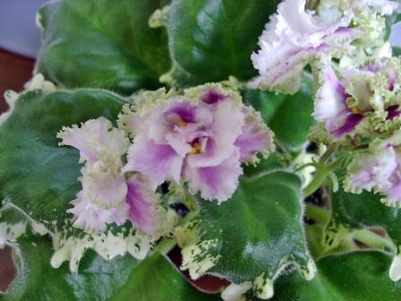 Осенний танцор3.jpg