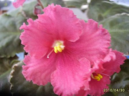 Ma`s Almost Autumn2.jpg