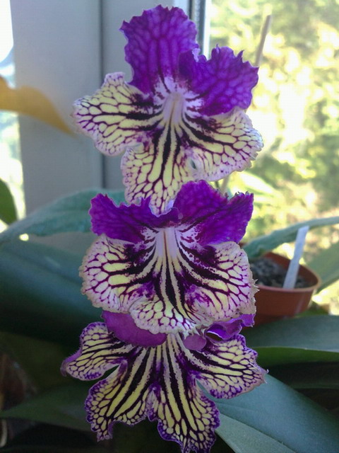 2610201097_изменение размера_изменение размера.jpg