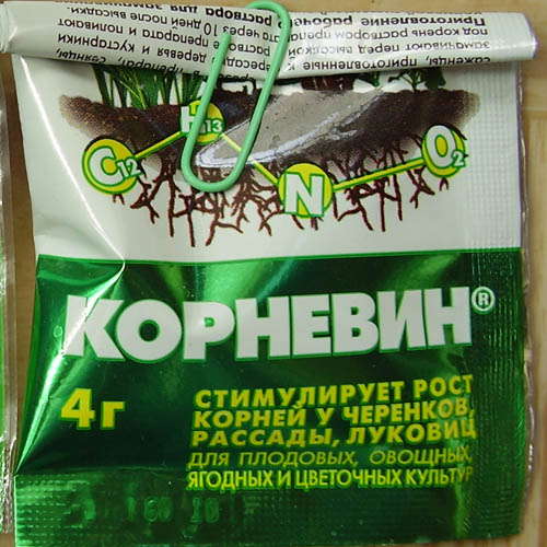 корневин.jpg