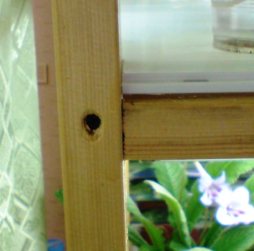 13 октября (23).JPG