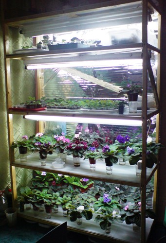 13 октября (25).JPG