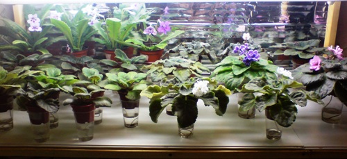 13 октября (5).JPG