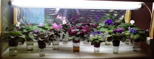 13 октября (6).JPG