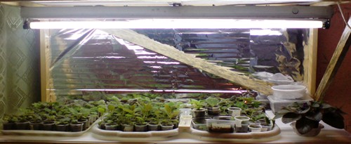 13 октября (7).JPG