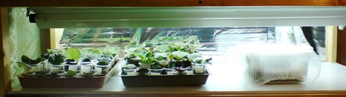 13 октября (8).JPG