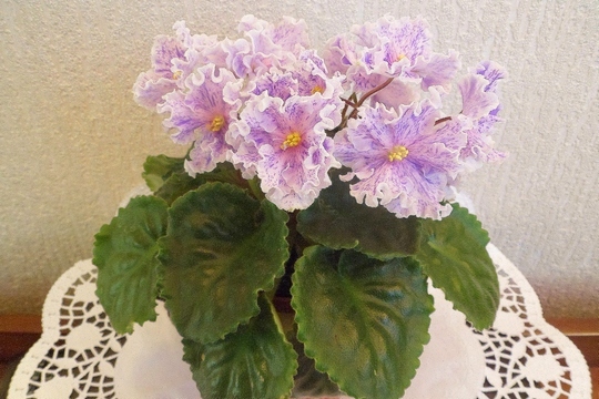 SAM_6789.JPGЕк Музыка Вивальди розетка3.jpg