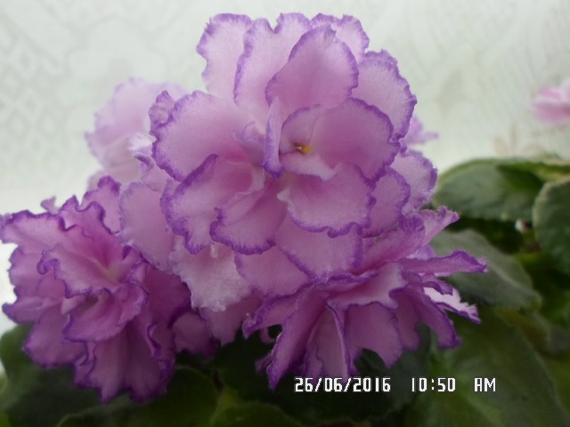 РС-Гранд Отель.jpg