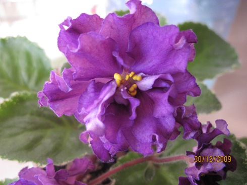 Мои снимки 018.JPG